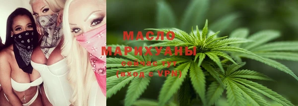 амф Верхний Тагил