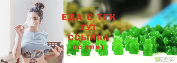 дмт Бородино