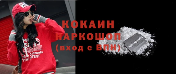 дмт Бородино