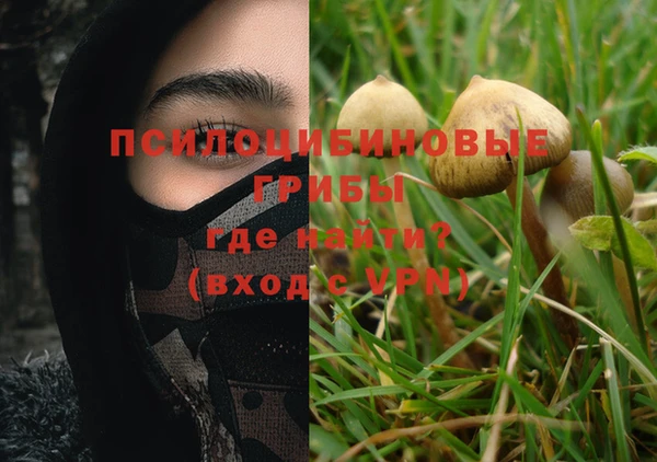 спиды Бугульма