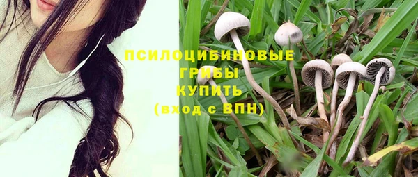 спиды Бугульма