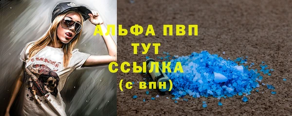 дмт Бородино