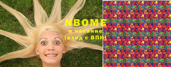 амф Верхний Тагил