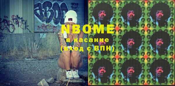 дмт Бородино