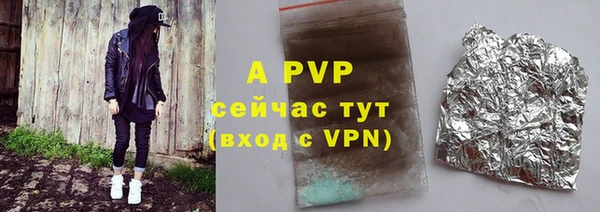 дмт Бородино