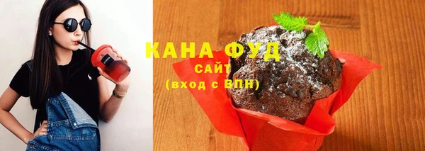 амф Верхний Тагил