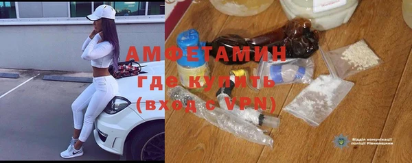 дмт Бородино